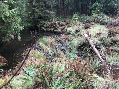 0 Miami Foley Rd unit 17064732, Nehalem, OR 97131 - photo 7