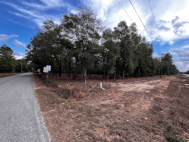 XX McCall Bridge Rd, Lake Talquin, FL 32351 - photo 3