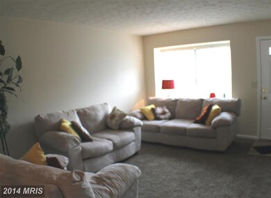 13961 Big Yankee Ln, Centreville, VA 20121 - photo 6