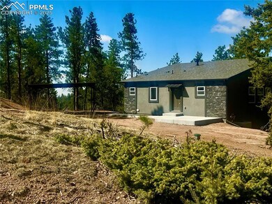 1328 N Mountain Estates Rd, Florissant, CO 80816 - photo 2