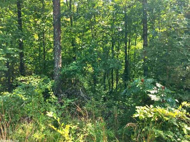 0 Gr 125 Rd unit 17021996, Paragould, AR 72450 - photo 4