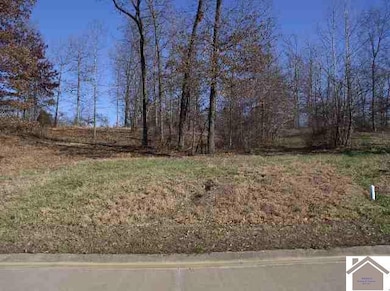 Lot 62 Fairway Dr, Benton, KY 42025 - photo 2