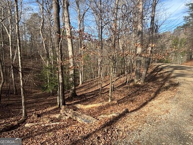 LT 727 Armor Ct, Ellijay, GA 30540 - photo 6