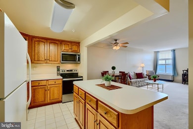 28 Allegheny Ave unit 1901, Towson, MD 21204 - photo 6