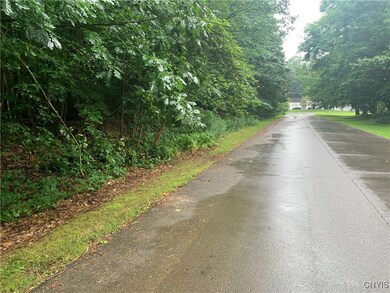 0 Anderson Way Dr, Minetto, NY 13069 - photo 5