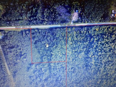 google view