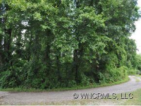 00 Chapel Park Place, Asheville, NC 28803 - photo 5