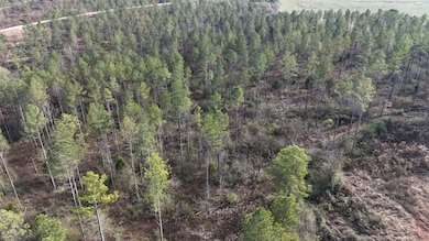 010 County Road 176, Piedmont, AL 36272 - photo 3