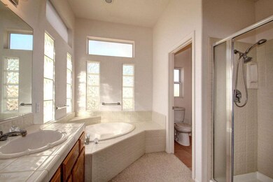 Master Bath with Jetted Tub and Shower