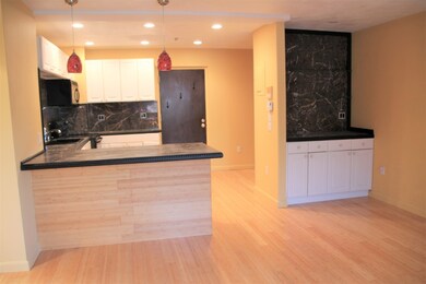 69 Milliken Ave unit 15, Franklin, MA 02038 - photo 3