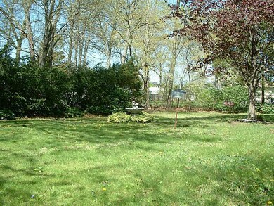 Yard/Garden.