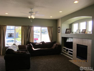 217 Chapel Hill Dr, Brighton, CO 80601 - photo 7