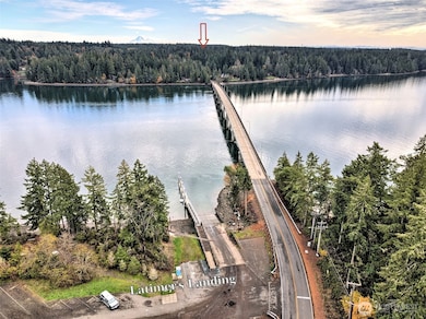 From the mainland looking over the Harstine Island bridge and Latimer's Landing beautiful public boat launch.