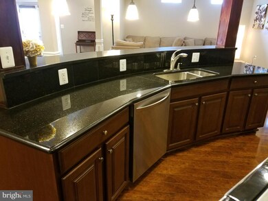 24981 Waterdock Dr unit BASEMENT, Stone Ridge, VA 20105 - photo 4