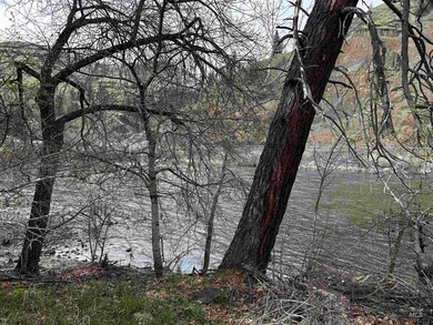 TBD Mill St, Kooskia, ID 83539 - photo 2