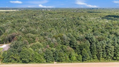 DJI_0494