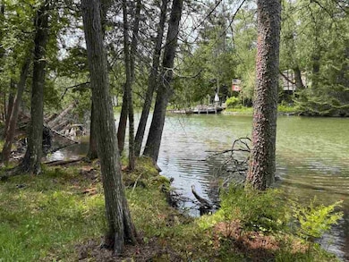 TBD Banwell Rd, Alanson, MI 49706 - photo 3