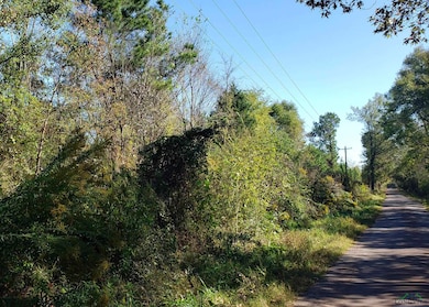 TBD Cr 122 E, Nacogdoches, TX 75695 - photo 2