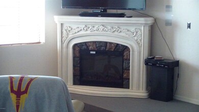 Family room fireplace (3)