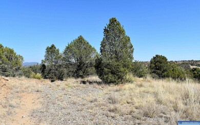 Lot 12 Hereford Dr, Silver City, NM 88061 - photo 4