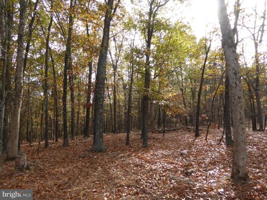 LOT 6 Noland Ridge Rd, Gore, WV 25444 - photo 7