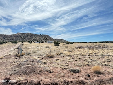 8 N6420, Saint Johns, AZ 85936 - photo 7