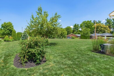 View Of The Back Yard