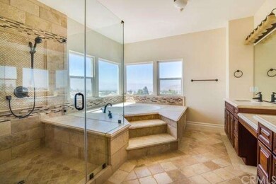 Master Bath Jacuzzi Tub & Frameless Glass Shower
