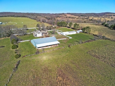 03-DJI_0262