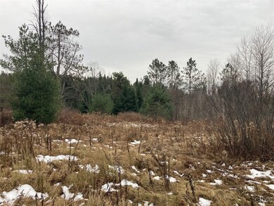 unlisted-address, Ohio, NY 13324 - photo 3