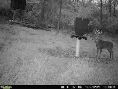 14405 Ohio 83, Coshocton, OH 43812 - photo 4