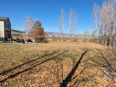 1244 Ash Mesa Rd, Delta, CO 81416 - photo 3