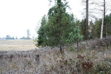 00 Dahl Lot 7 Rd unit Lot 7, Deer Park, WA 99006 - photo 5