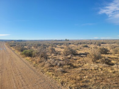 12 Acres Parcel D-0503-0003-0000 unit 5 af Water Right, Enoch, UT 84721 - photo 4