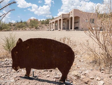 desert critters
