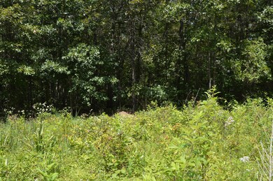 Brand new survey showing 20.32 acres.