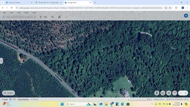 00 Bearskin Rd, Chatham, VA 24531 - photo 2