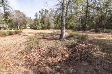 6900 Runningbrook, Wilmington, NC 28411 - photo 3