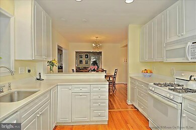 8116 Chester St, Takoma Park, MD 20912 - photo 7