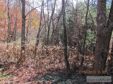 Lot view showing mostly level area