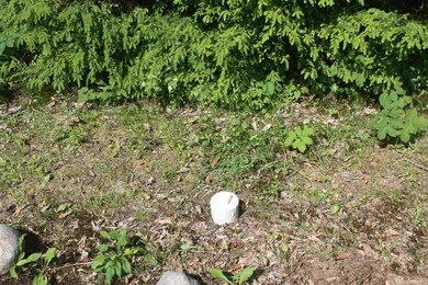 0 Poole Hill Rd unit Map 405 Lot 004-001, Bristol, NH 03222 - photo 6