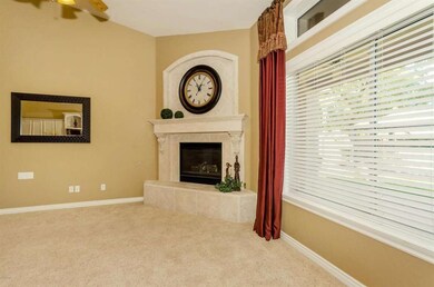 Gas fireplace