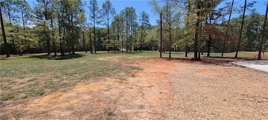 62377 Pine Meadow Rd, Amite, LA 70422 - photo 2