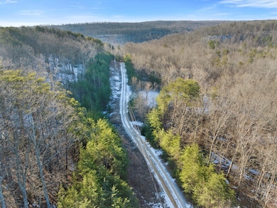 01-DJI_20250115094601_0083_D