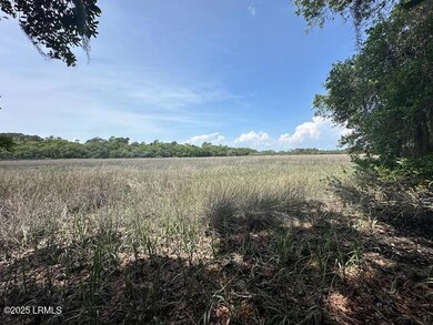 marsh