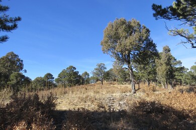 0 Raton Overlook unit Parcel 9 18-3, Trinidad, CO 81082 - photo 6