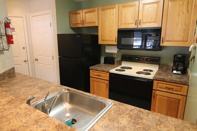 160 Deer Park Dr unit 146 C, Woodstock, NH 03262 - photo 3