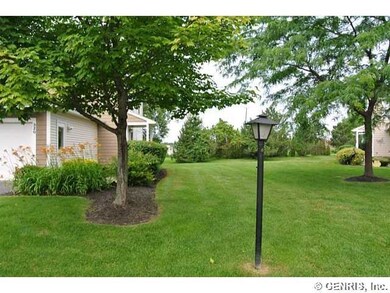 Yard GREEN SPACE !