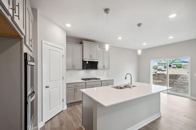 712 Winterberry Ln, Waconia, MN 55387 - photo 3