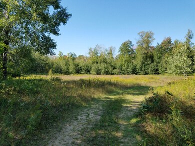 North Open Space #2